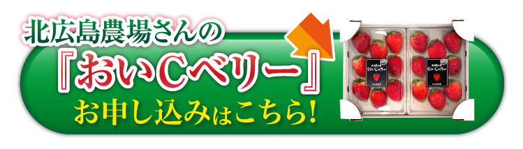 【産地直送】北広島農場さんの『おいCベリー』（広島県産）