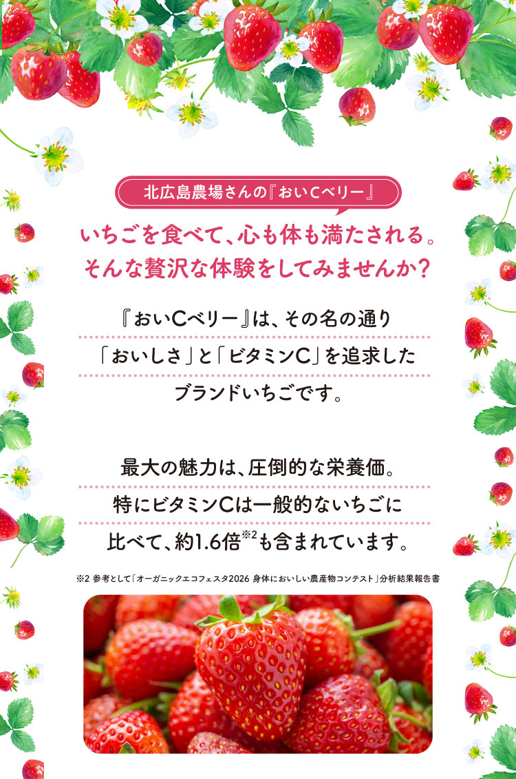 【産地直送】北広島農場さんの『おいCベリー』（広島県産）