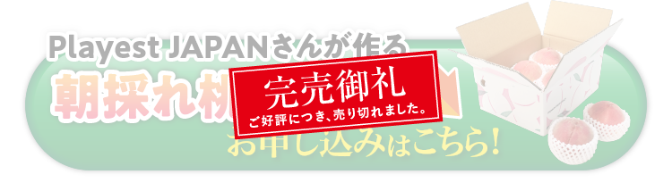 【産地直送】Playest JAPANさんが作る『朝採れ桃 食べ比べ』3回セット（山梨県産）