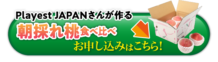 【産地直送】Playest JAPANさんが作る『朝採れ桃 食べ比べ』3回セット（山梨県産）