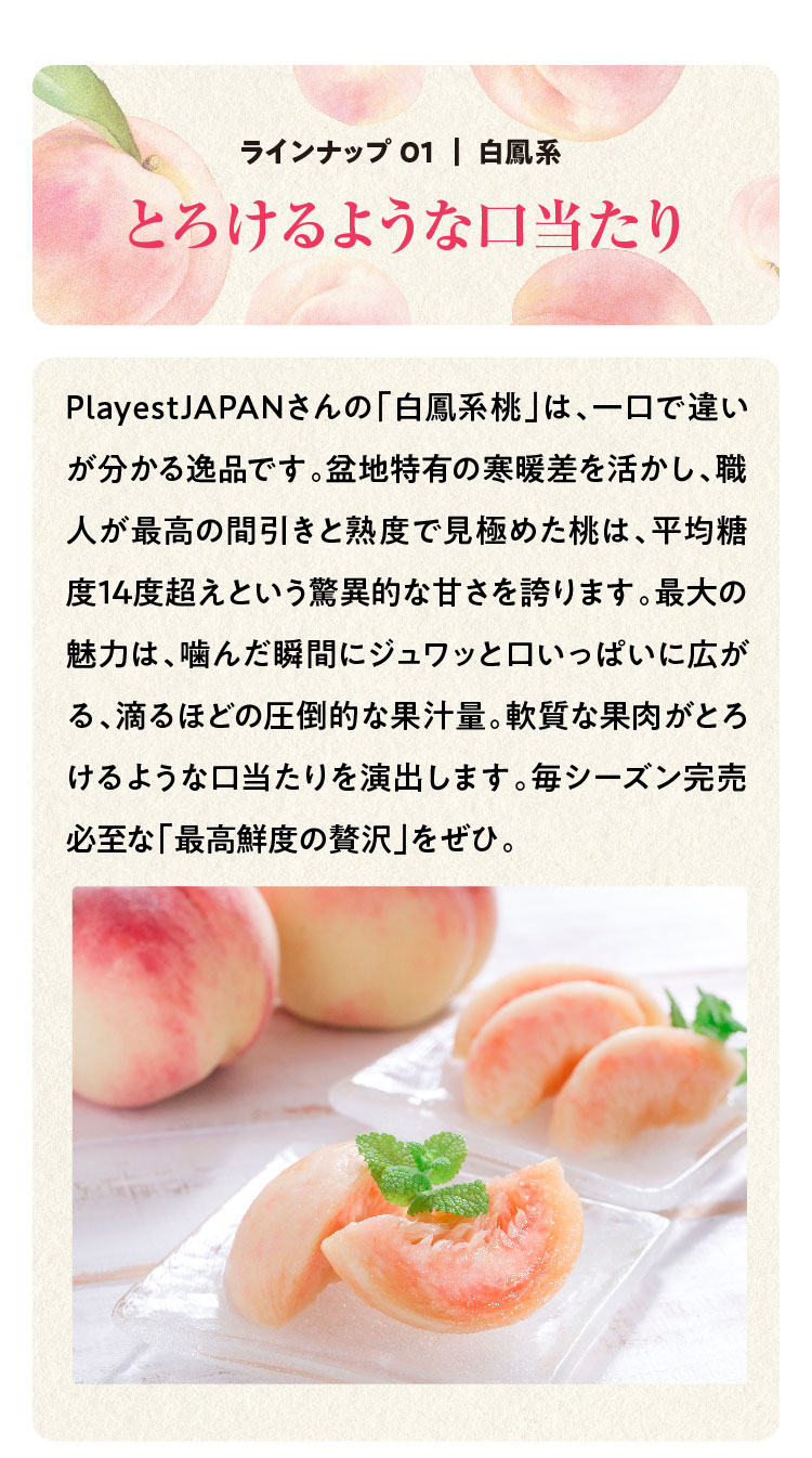 【産地直送】Playest JAPANさんが作る『朝採れ桃 食べ比べ』3回セット（山梨県産）