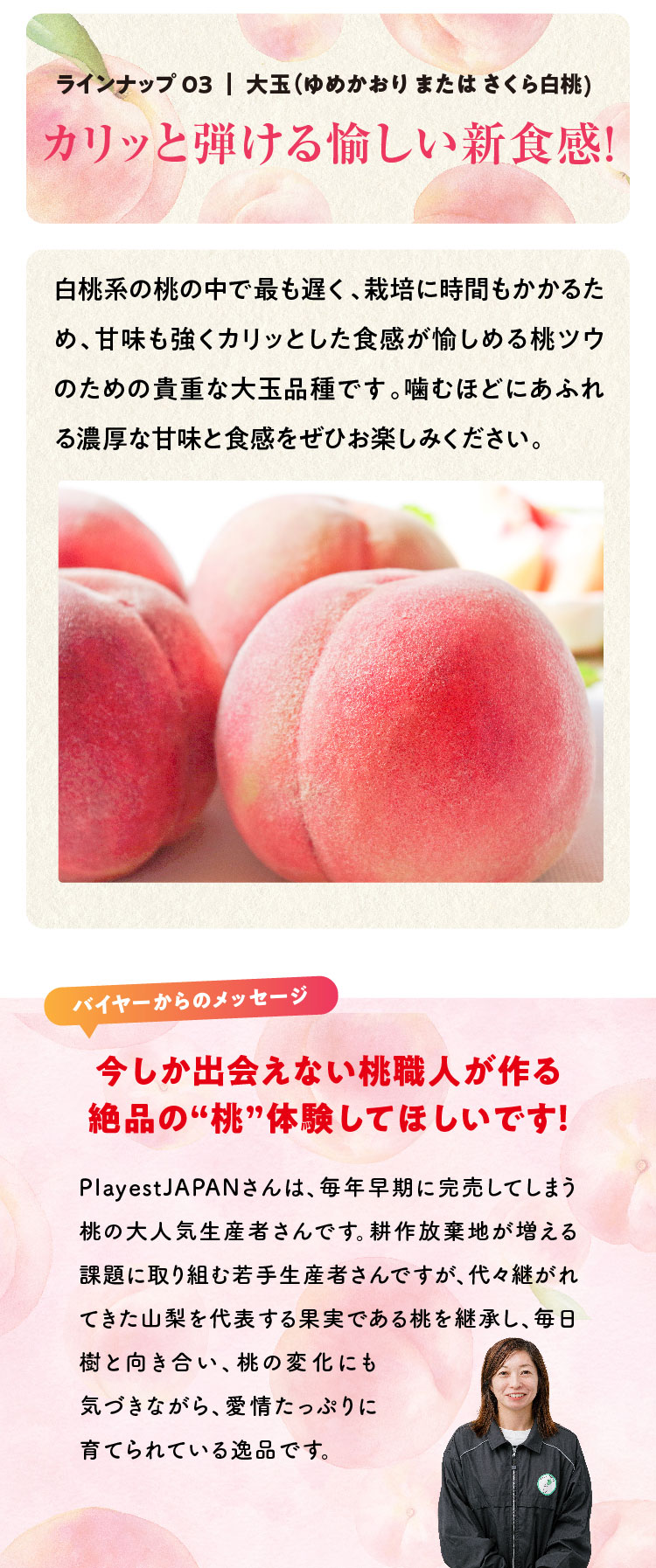 【産地直送】Playest JAPANさんが作る『朝採れ桃 食べ比べ』3回セット（山梨県産）