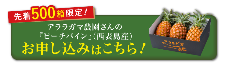 【産地直送】アララガマ農園さんの『ピーチパイン』（西表島産）