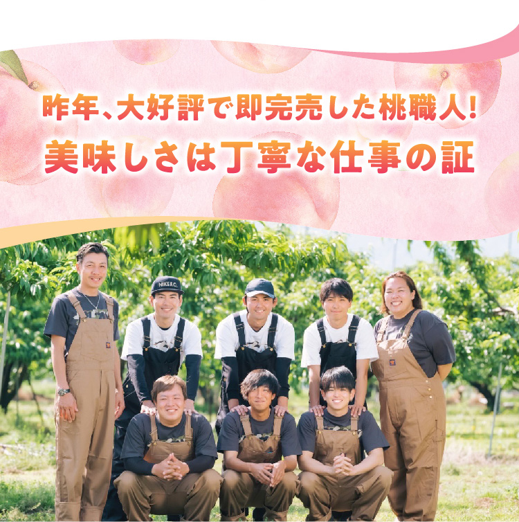 【産地直送】Playest JAPANさんが作る『朝採れ桃（白鳳系）』（山梨県産）