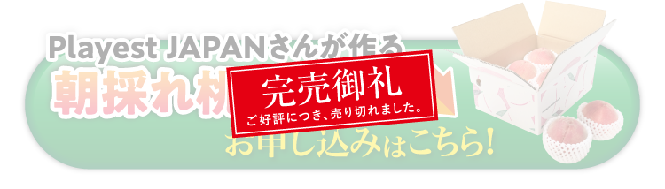 【産地直送】PlayestJAPANさんが作る『朝採れ桃（白桃系）』（山梨県産）