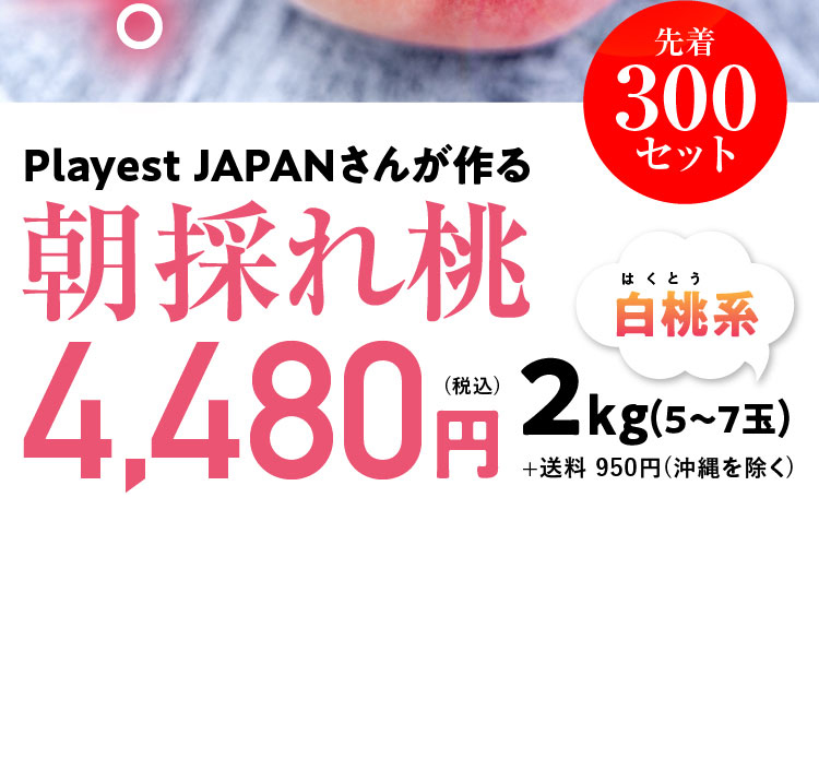 【産地直送】PlayestJAPANさんが作る『朝採れ桃（白桃系）』（山梨県産）