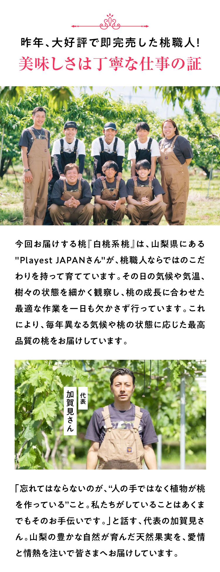 【産地直送】PlayestJAPANさんが作る『朝採れ桃（白桃系）』（山梨県産）