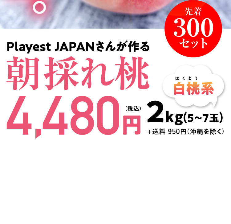 【産地直送】PlayestJAPANさんが作る『朝採れ桃（白桃系）』（山梨県産）
