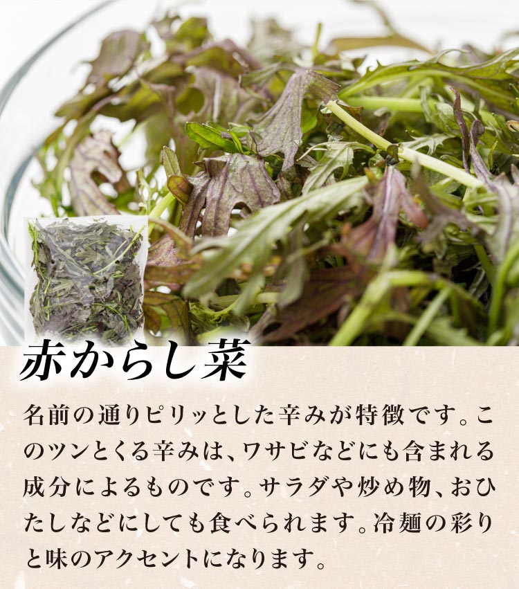 〈ぴょんぴょん舎コラボ〉サラダ仕立ての盛岡冷麺～熊谷喜八シェフ監修～
