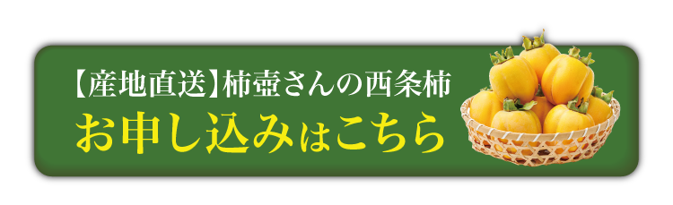 【産地直送】柿壺さんの西条柿 約2.5㎏（島根県産）