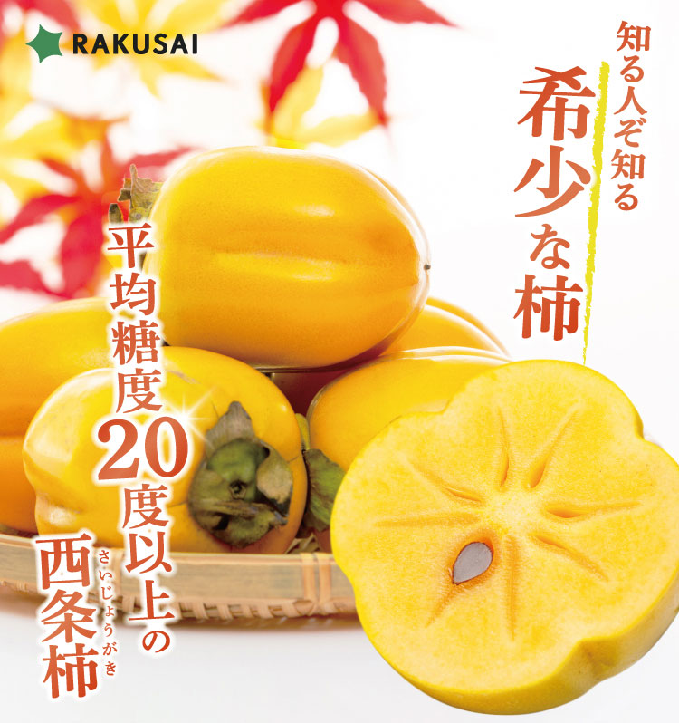 【産地直送】柿壺さんの西条柿 約2.5㎏（島根県産）