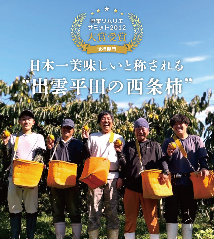 【産地直送】柿壺さんの西条柿 約2.5㎏（島根県産）