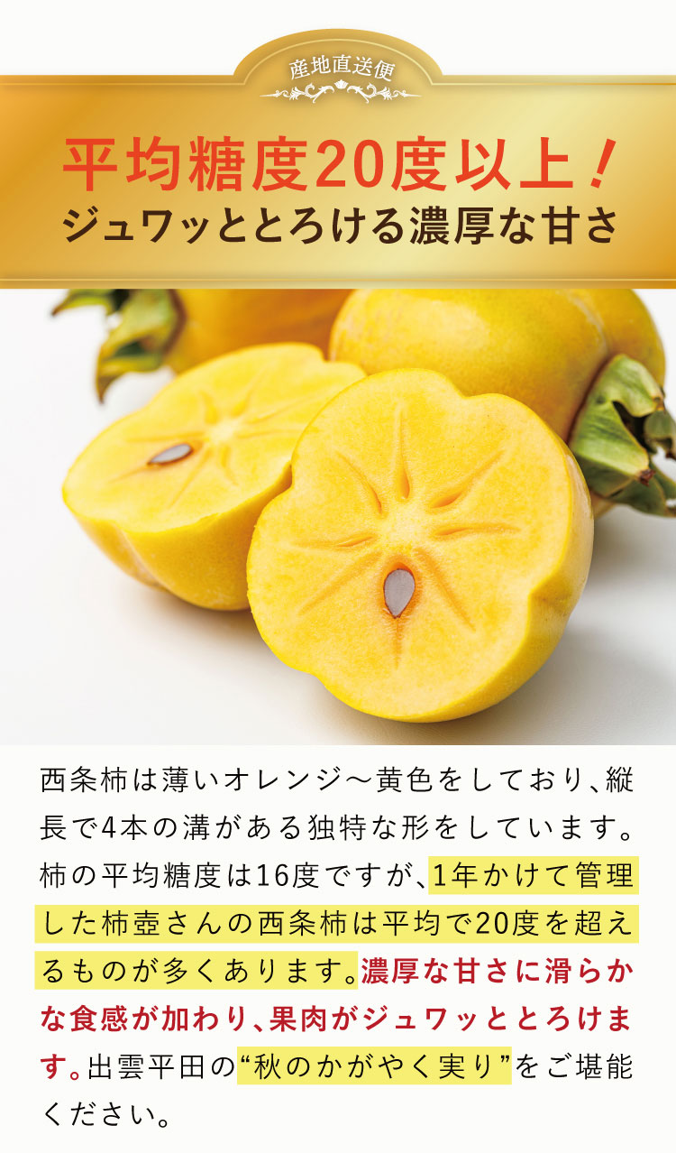 【産地直送】柿壺さんの西条柿 約2.5㎏（島根県産）
