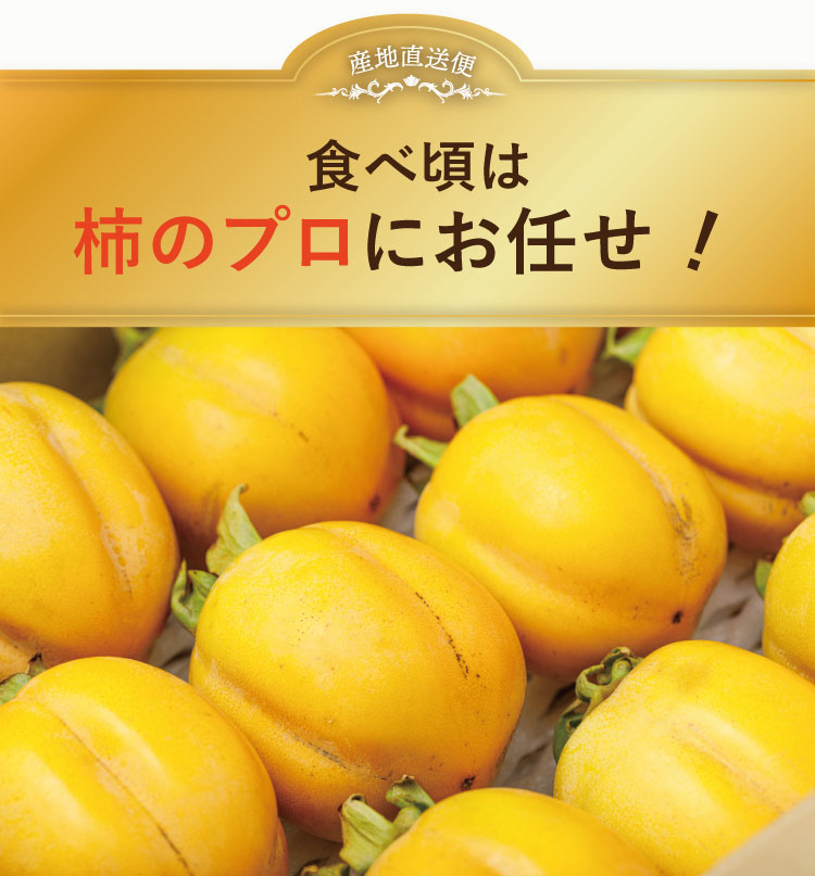 【産地直送】柿壺さんの西条柿 約2.5㎏（島根県産）
