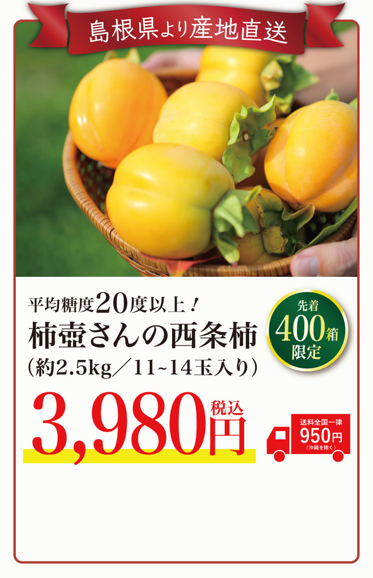【産地直送】柿壺さんの西条柿 約2.5㎏（島根県産）
