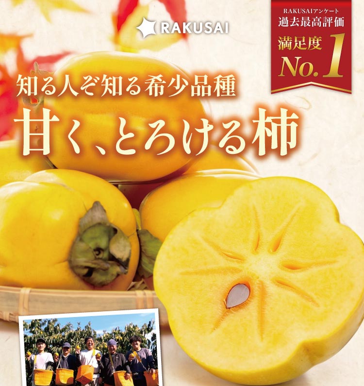 【産地直送】柿壺さんの『西条柿』（島根県産）