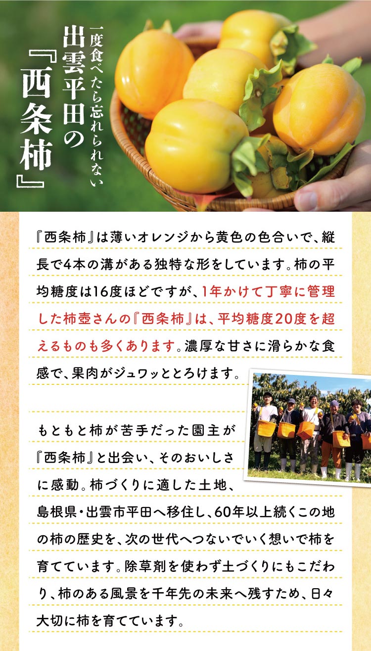 【産地直送】柿壺さんの『西条柿』（島根県産）