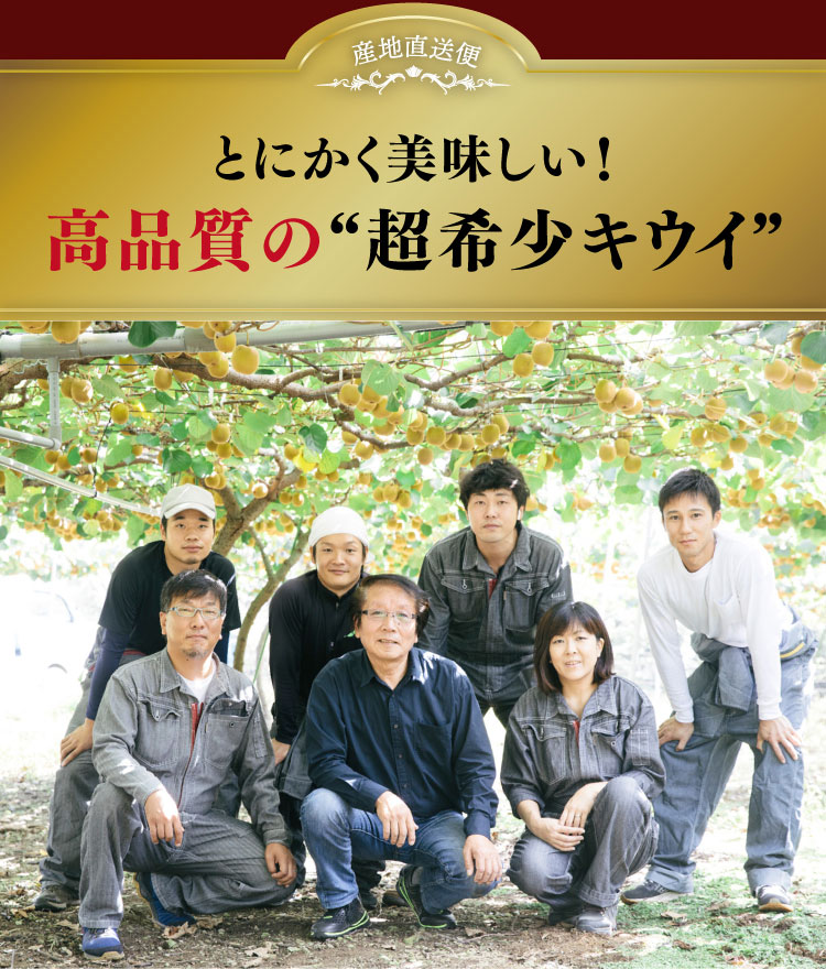 【産地直送】キウイバードグループさんが育てた さぬきゴールド（香川県産）