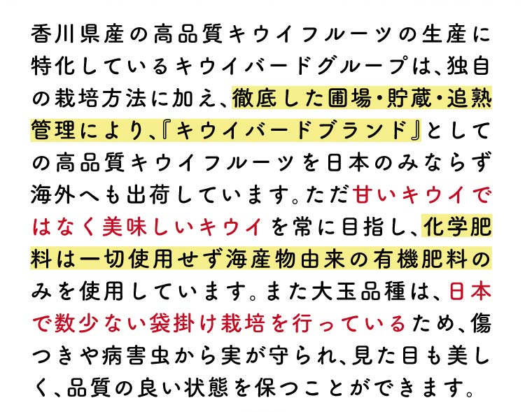 【産地直送】キウイバードグループさんが育てた さぬきゴールド（香川県産）