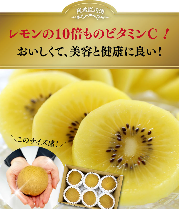 【産地直送】キウイバードグループさんが育てた さぬきゴールド（香川県産）