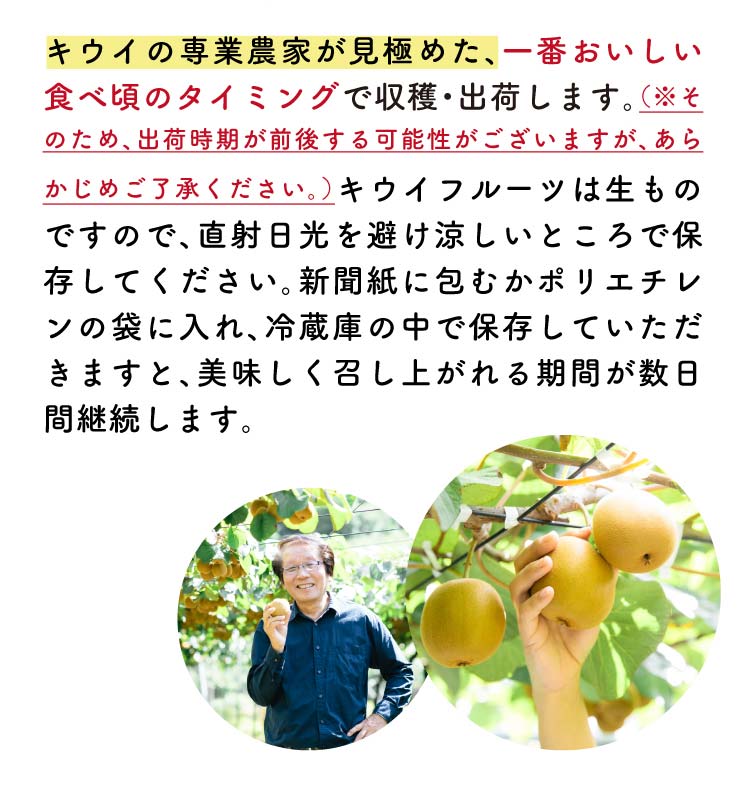 【産地直送】キウイバードグループさんが育てた さぬきゴールド（香川県産）