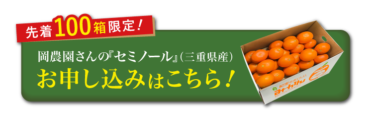 【産地直送】岡農園さんの『セミノール』（三重県産）