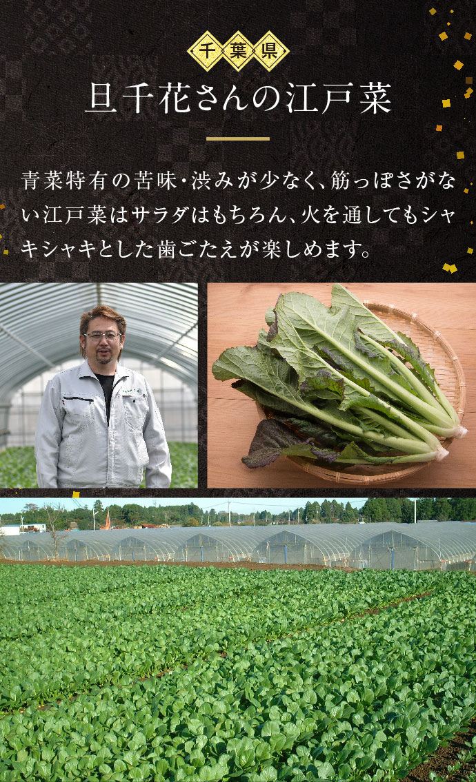 【熊谷喜八シェフ監修】厳選野菜と黒豚2種のしゃぶしゃぶセット