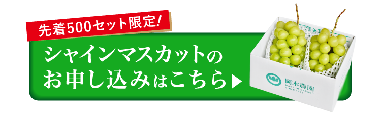 【産地直送】採れたて！岡木農園さんの至高のシャインマスカット（長野県産）