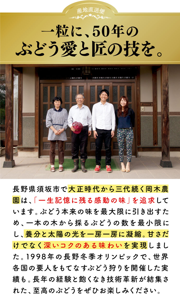 【産地直送】採れたて！岡木農園さんの至高のシャインマスカット（長野県産）