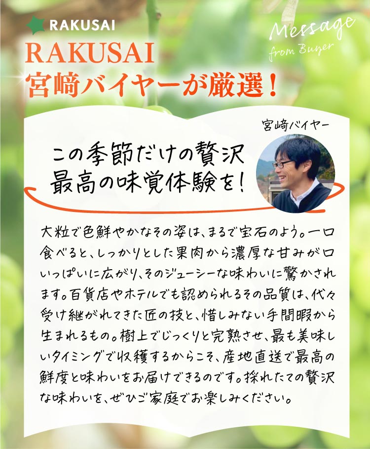 【産地直送】採れたて！岡木農園さんの至高のシャインマスカット（長野県産）