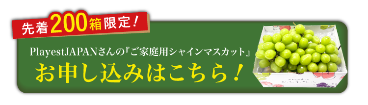 【バイヤー厳選】ご家庭用シャインマスカット（山梨県産）
