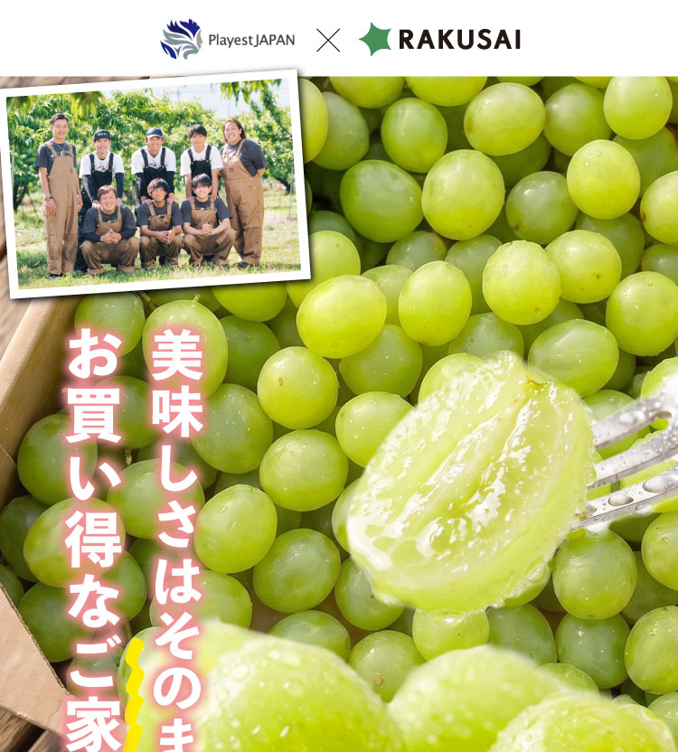 【バイヤー厳選】ご家庭用シャインマスカット（山梨県産）