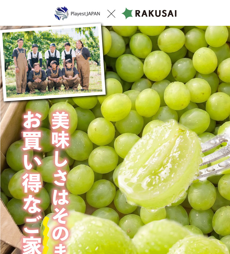 【バイヤー厳選】ご家庭用シャインマスカット（山梨県産）