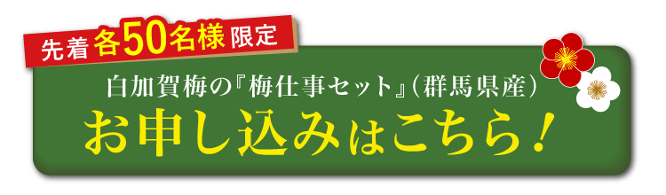 白加賀梅の『梅仕事セット』（群馬県産）