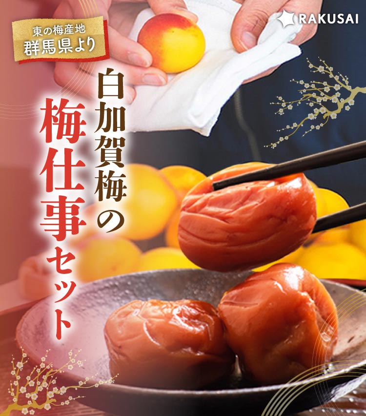 白加賀梅の『梅仕事セット』（群馬県産）