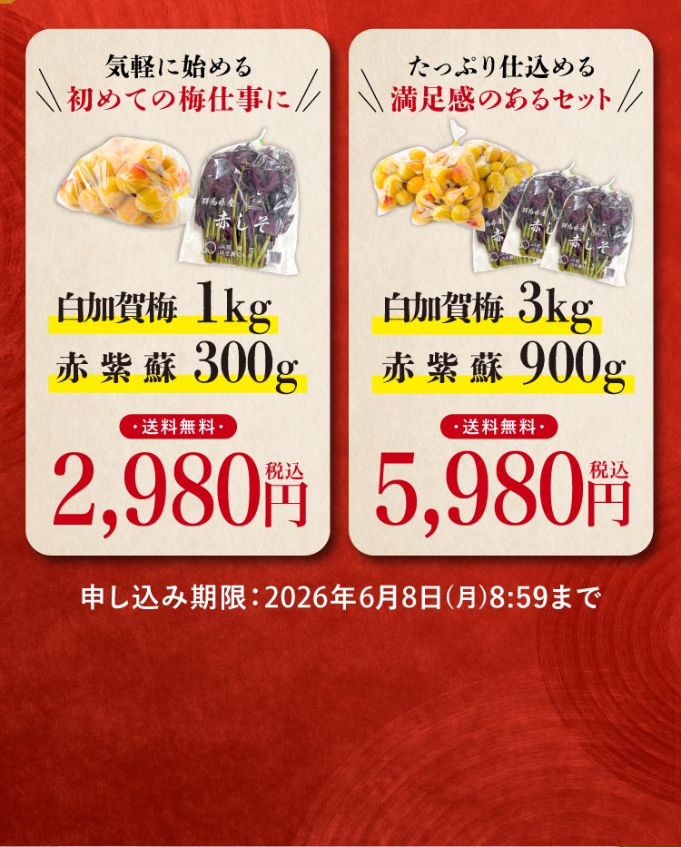 白加賀梅の『梅仕事セット』（群馬県産）
