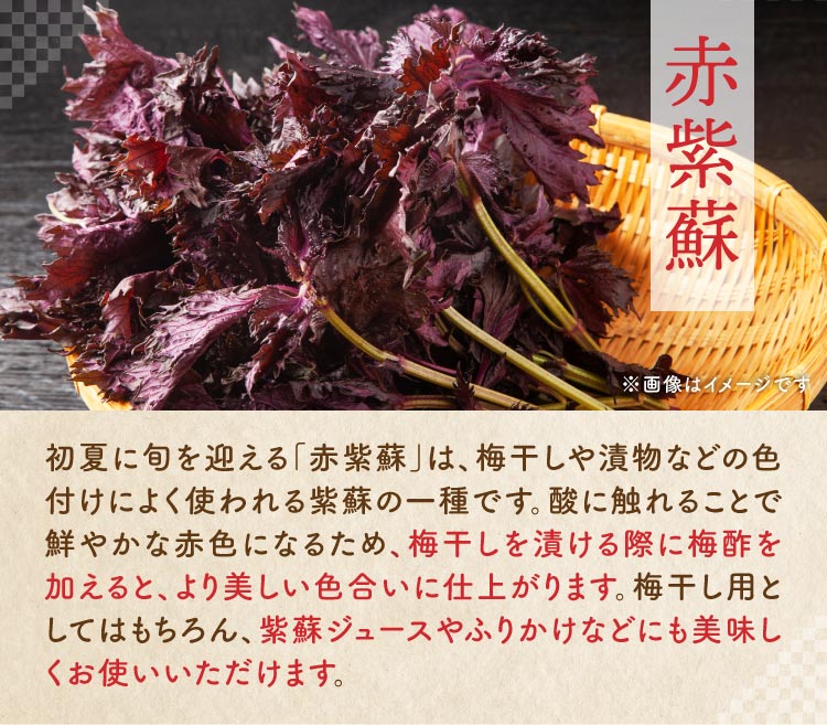 白加賀梅の『梅仕事セット』（群馬県産）