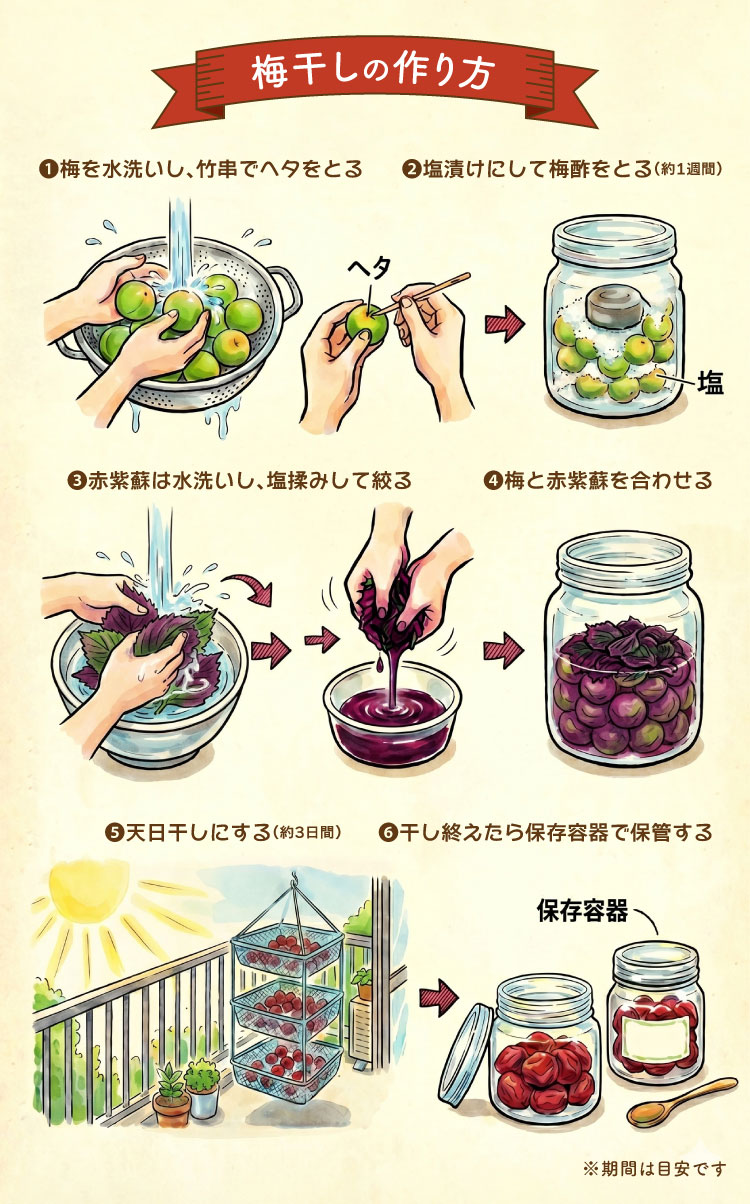 白加賀梅の『梅仕事セット』（群馬県産）