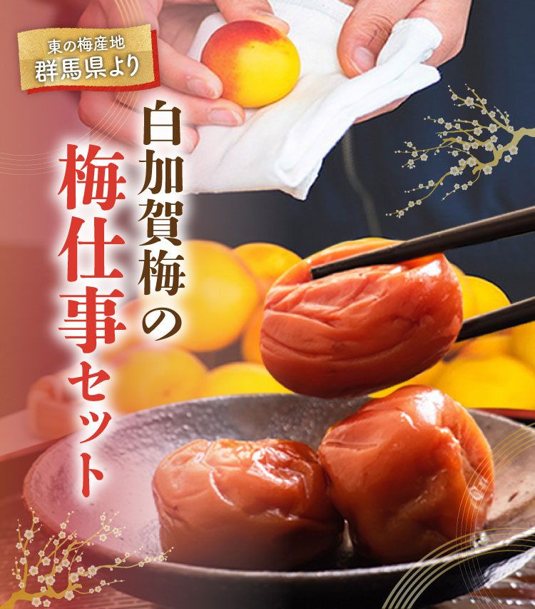 白加賀梅の『梅仕事セット』（群馬県産）
