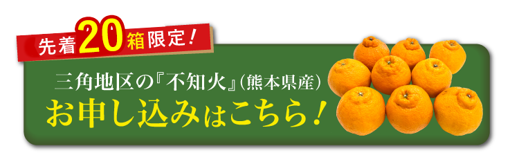 【バイヤー厳選】三角地区の『不知火（しらぬい）』（熊本県産）