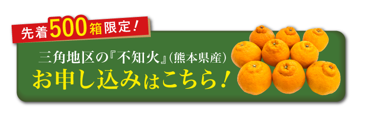 【バイヤー厳選】三角地区の『不知火（しらぬい）』（熊本県産）
