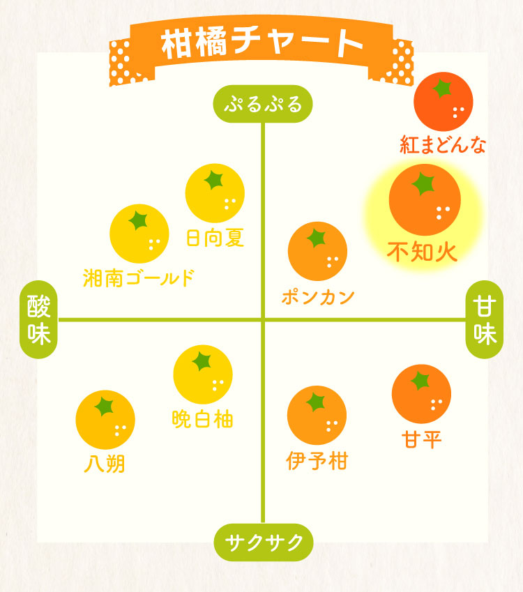 【バイヤー厳選】三角地区の『不知火（しらぬい）』（熊本県産）