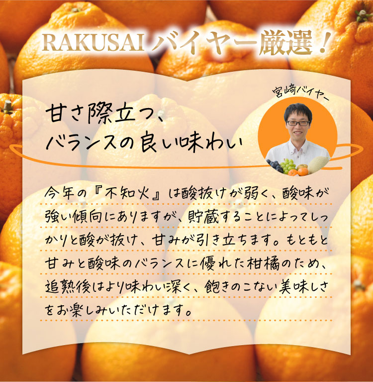 【バイヤー厳選】三角地区の『不知火（しらぬい）』（熊本県産）