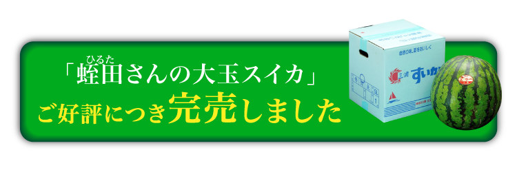 追加販売【バイヤー厳選】蛭田さんの大玉スイカ「夏のぜいたく」（神奈川県産）
