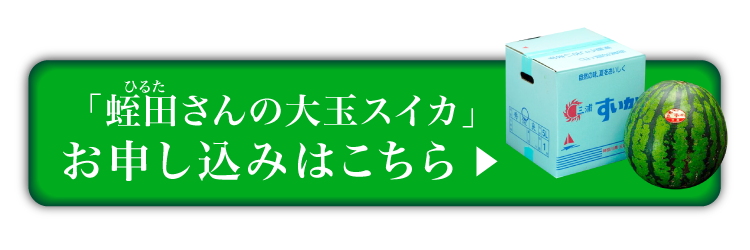 追加販売【バイヤー厳選】蛭田さんの大玉スイカ「夏のぜいたく」（神奈川県産）