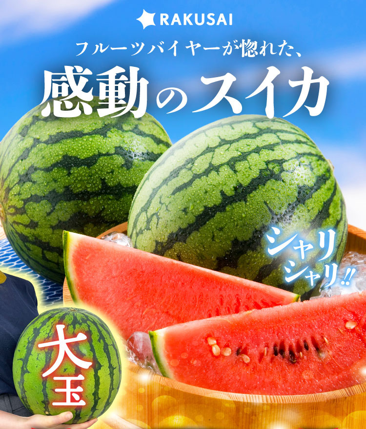 追加販売【バイヤー厳選】蛭田さんの大玉スイカ「夏のぜいたく」（神奈川県産）