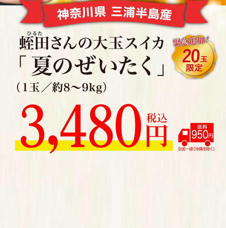 追加販売【バイヤー厳選】蛭田さんの大玉スイカ「夏のぜいたく」（神奈川県産）