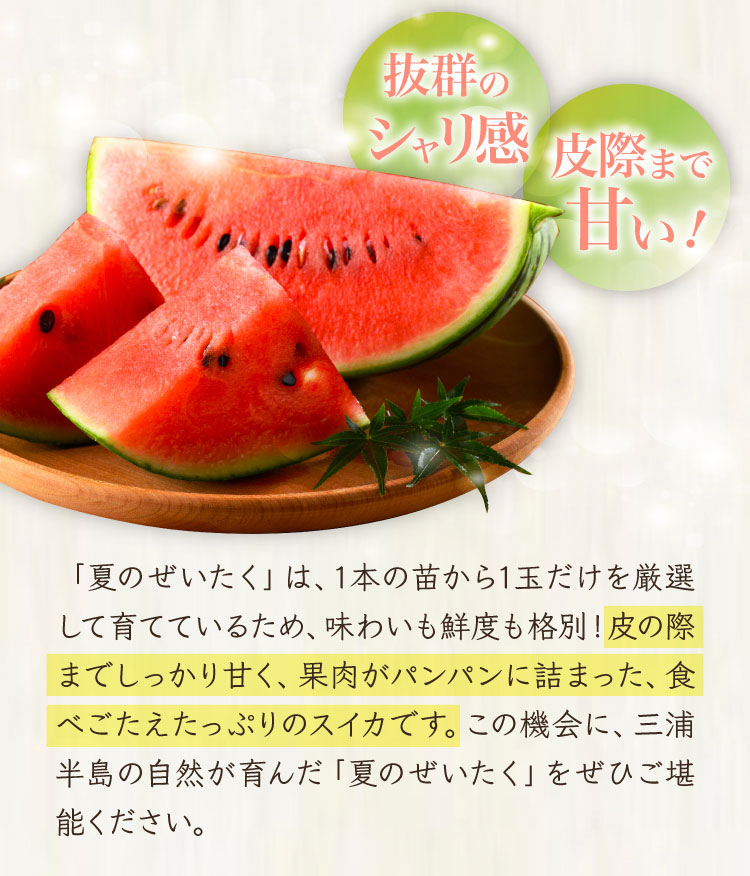追加販売【バイヤー厳選】蛭田さんの大玉スイカ「夏のぜいたく」（神奈川県産）