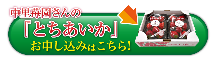 【産地直送】中里苺園さんの『とちあいか』（栃木県産）