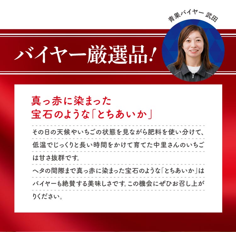 【産地直送】中里苺園さんの『とちあいか』（栃木県産）